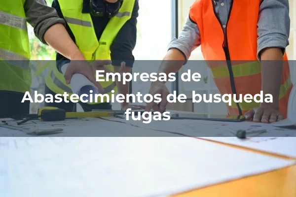 Abastecimientos 2 Abastecimientos de busqueda fugas