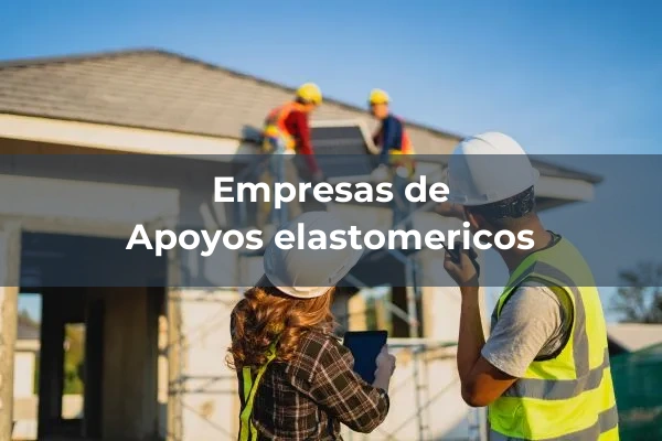 Planchas, apoyos y amortiguadores 2 Apoyos elastomericos