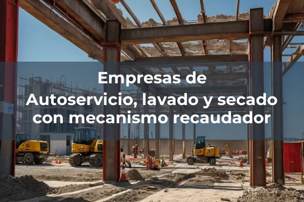Hosteleria y lavanderia industrial 2 Autoservicio, lavado y secado con mecanismo recaudador