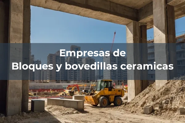 Ceramicos para pavimento y revestimiento 13 Bloques y bovedillas ceramicas