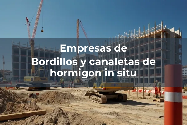 Obras complementarias 2 Bordillos y canaletas de hormigon in situ