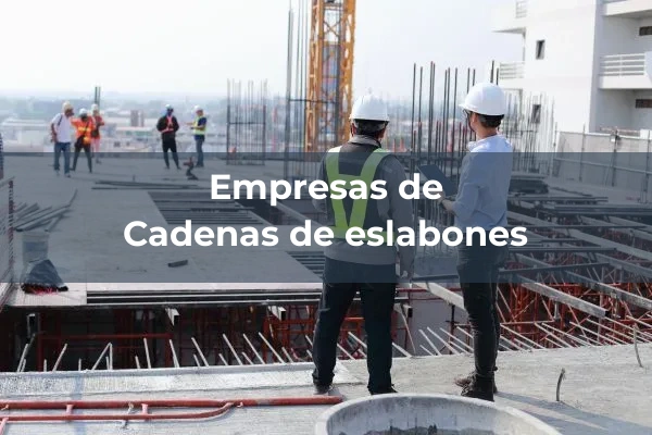 Elementos de transmision, traccion y amortiguacion 3 Cadenas de eslabones