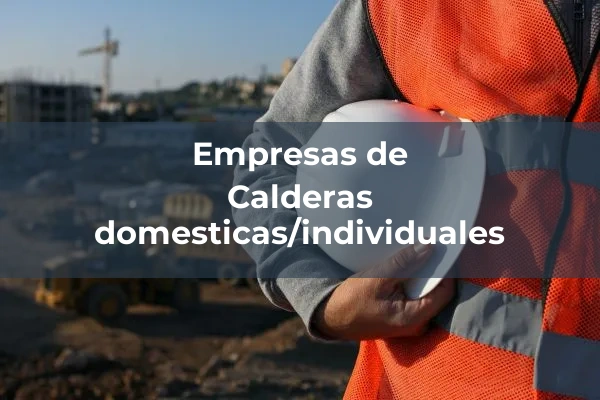 Calderas 1 Calderas domesticas/individuales