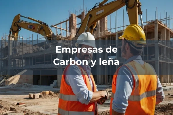 Carbon y leña