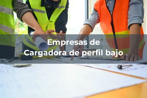 Evacuacion de escombros 4 Cargadora de perfil bajo