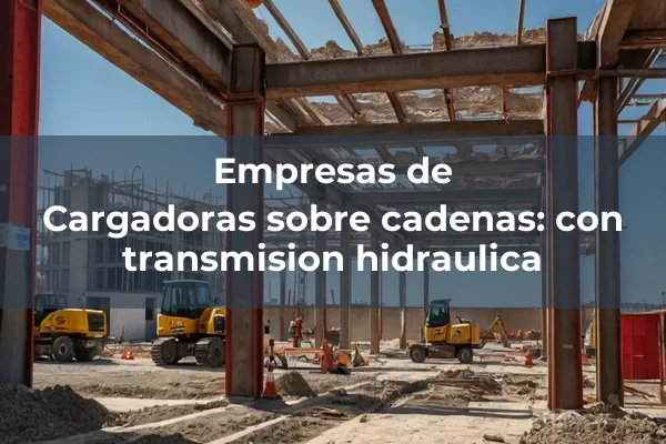 Cargadoras 2 Cargadoras sobre cadenas: con transmision hidraulica