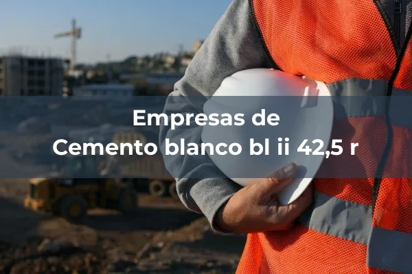 Cementos blancos 3 Cemento blanco bl ii 42,5 r
