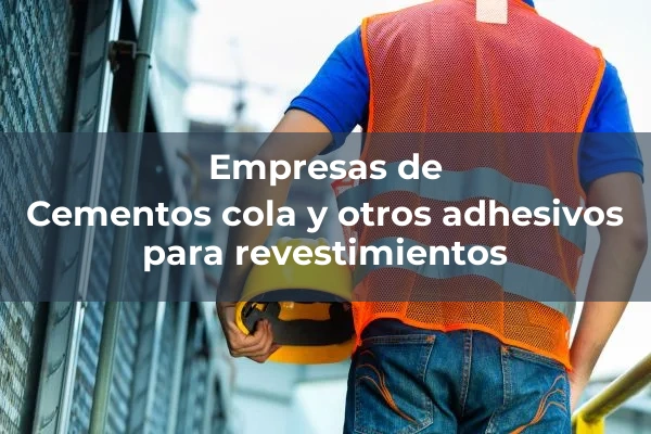 Adhesivos 3 Cementos cola y otros adhesivos para revestimientos