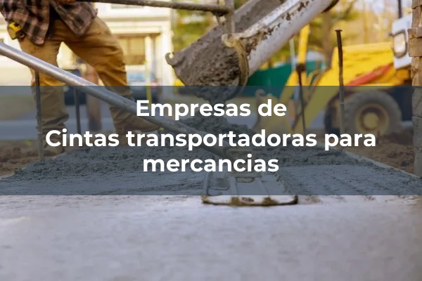 Otros sistemas transportadores 2 Cintas transportadoras para mercancias