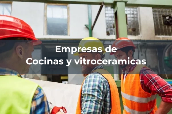 Electrodomesticos 2 Cocinas y vitroceramicas