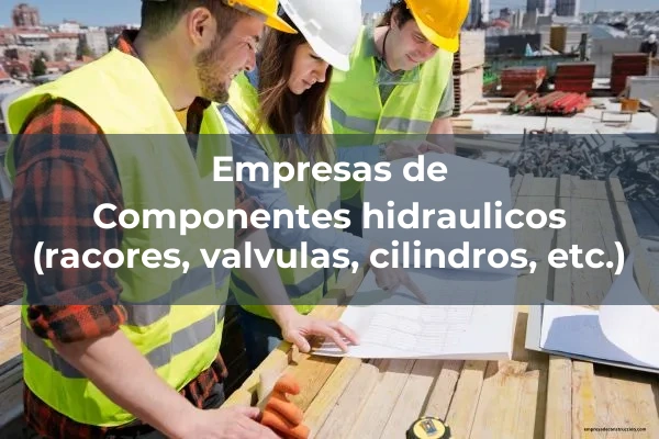 Elementos hidraulicos y neumaticos 1 Componentes hidraulicos (racores, valvulas, cilindros, etc.)