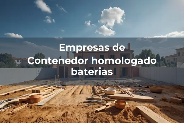 Contenedor homologado baterias