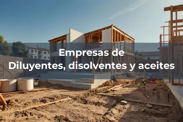 Preparaciones, imprimaciones y productos complementarios 3 Diluyentes, disolventes y aceites