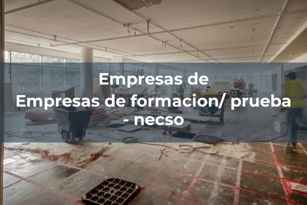 Otras empresas de formacion y pruebas 6 Empresas de formacion/ prueba - necso