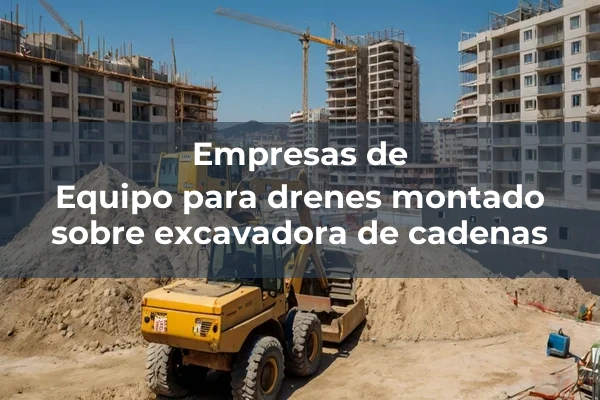 Consolidacion y mejora de suelos 1 Equipo para drenes montado sobre excavadora de cadenas