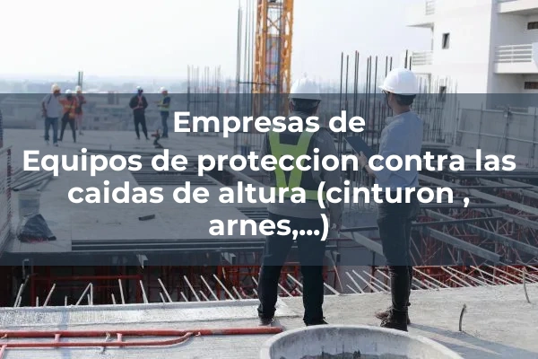 Protecciones individuales 1 Equipos de proteccion contra las caidas de altura (cinturon , arnes,...)