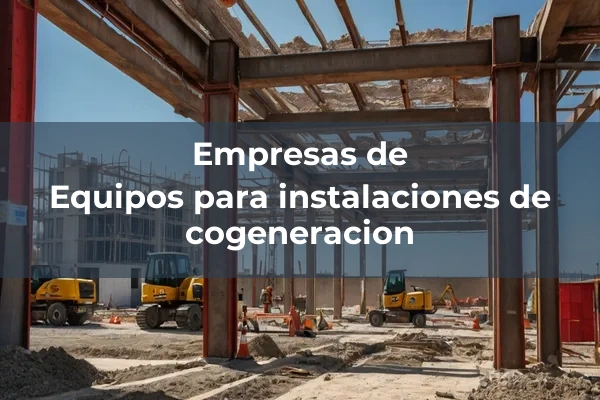 Equipos para instalaciones especiales 7 Equipos para instalaciones de cogeneracion