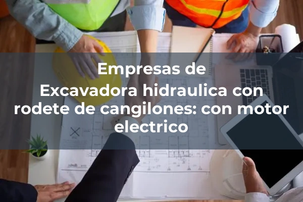 Excavadora hidraulica con rodete de cangilones: con motor electrico