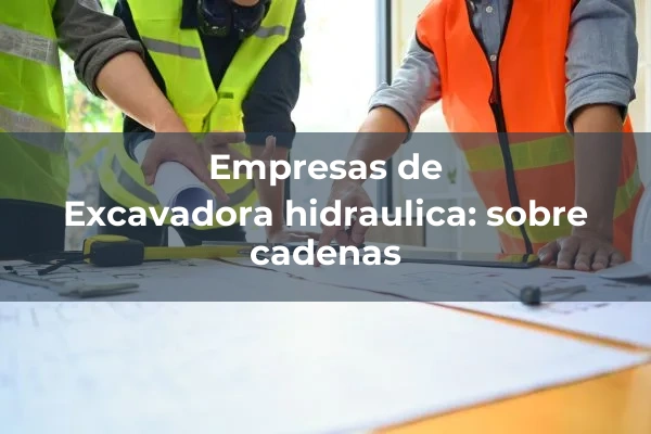 Excavadora hidraulica con rodete de cangilones: con motor electrico 7 Excavadora hidraulica: sobre cadenas
