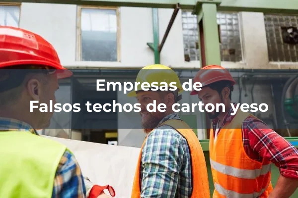 Falsos techos 3 De carton yeso