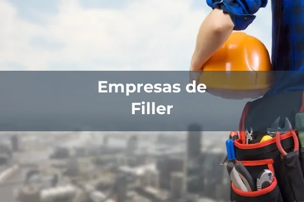 Cementos y sus adiciones 12 Filler