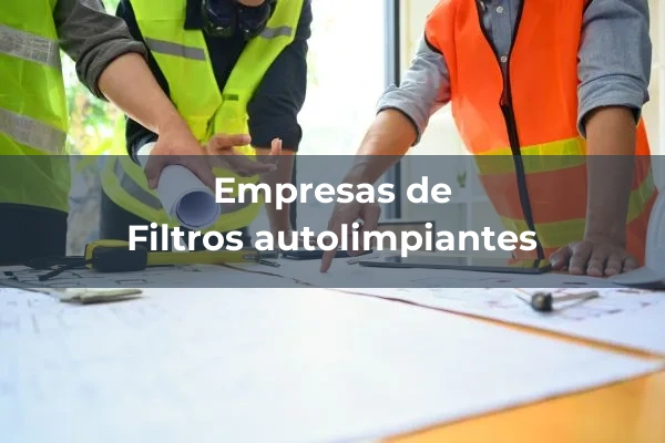 Material y equipos para filtracion 3 Filtros autolimpiantes