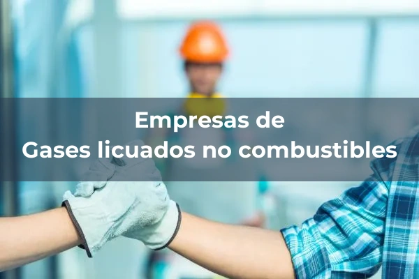 Gases licuados no combustibles