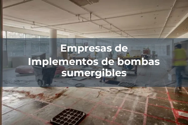Bombas sumergibles 1 Implementos de bombas sumergibles