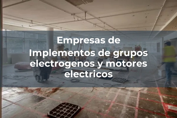 Grupos electrogenos y motores electricos 3 Implementos de grupos electrogenos y motores electricos