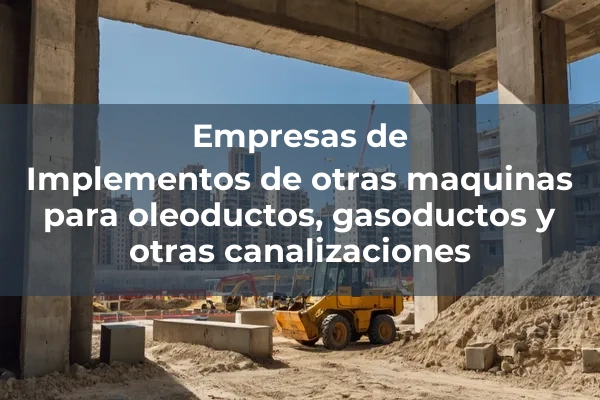 Otras maquinas para oleoductos, gasoductos y otras canalizaciones 1 Implementos de otras maquinas para oleoductos, gasoductos y otras canalizaciones
