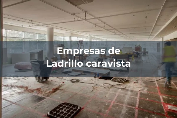 Ladrillo caravista