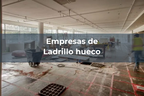 Ladrillo hueco