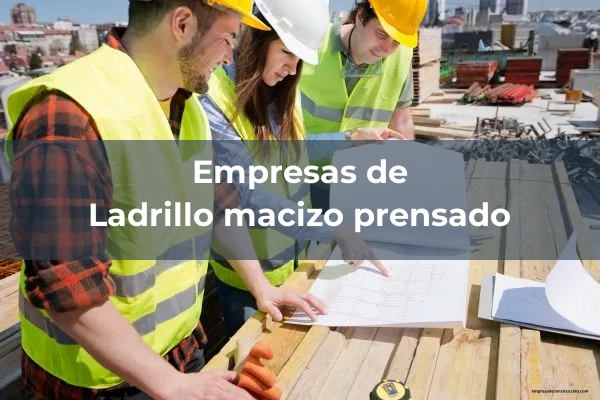 Ladrillo macizo prensado