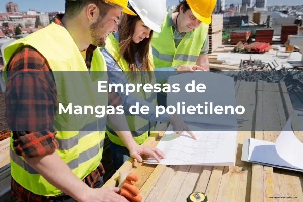 Mangas de polietileno