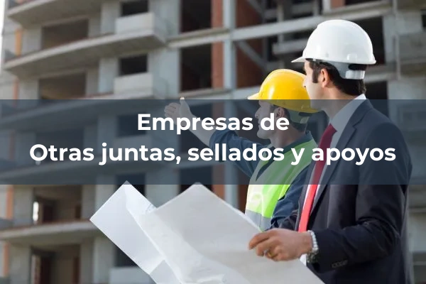 Otras juntas, sellados y apoyos 1 Otras juntas, sellados y apoyos