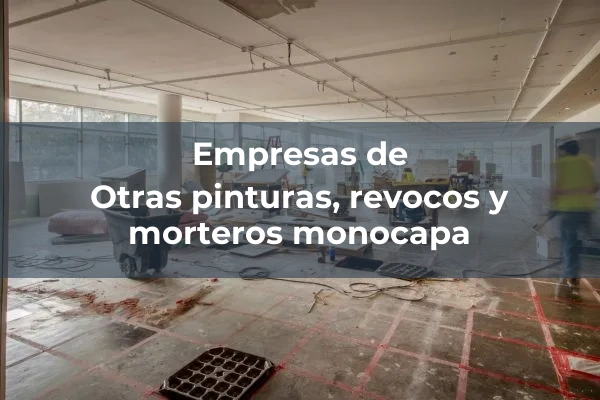 Otros de pintura, revoco y mortero monocapa 2 Otras pinturas, revocos y morteros monocapa