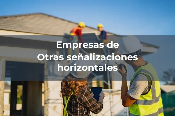 Señalizacion horizontal 4 Otras señalizaciones horizontales