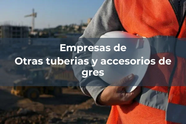 Otras tuberias y accesorios de gres