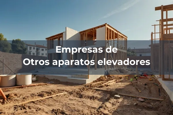 Aparatos elevadores 6 Otros aparatos elevadores