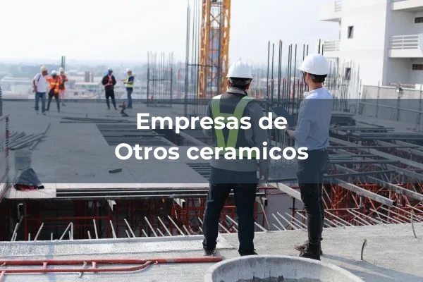 Ceramicos para pavimento y revestimiento 15 Otros ceramicos