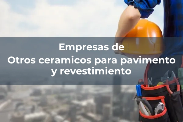 Otros ceramicos para pavimento y revestimiento