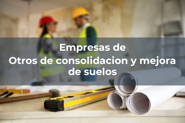 Consolidacion y mejora de suelos 4 Otros de consolidacion y mejora de suelos