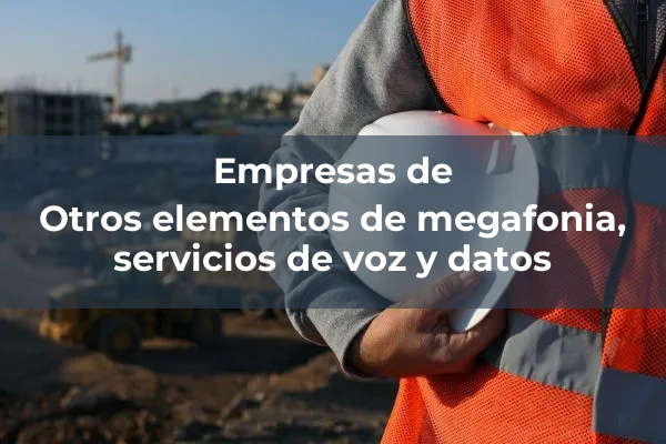 Megafonia y servicios de voz y datos 3 Otros elementos de megafonia, servicios de voz y datos