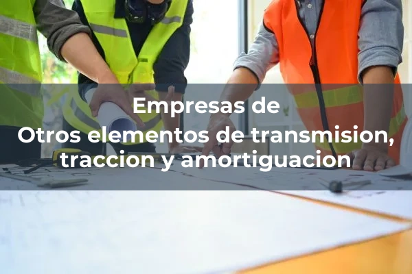 Elementos de transmision, traccion y amortiguacion 6 Otros elementos de transmision, traccion y amortiguacion
