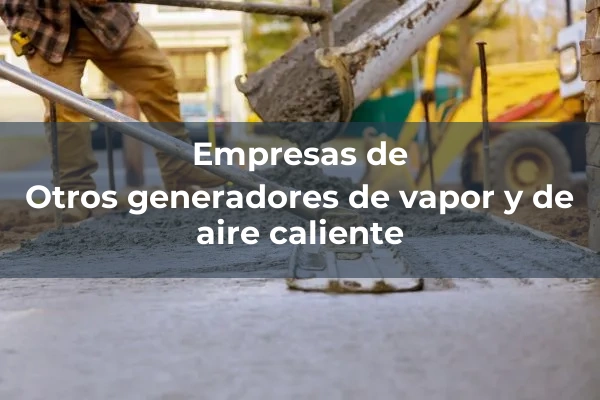 Generadores de vapor y aire caliente 4 Otros generadores de vapor y de aire caliente