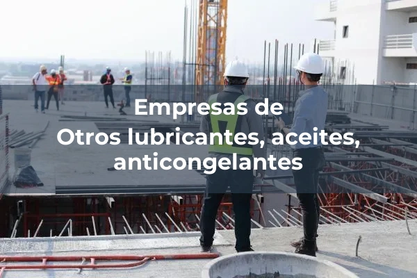 Otros lubricantes, aceites, anticongelantes