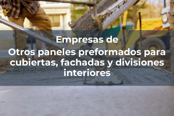 Otros paneles preformados para cubiertas, fachadas y divisiones interiores 1 Otros paneles preformados para cubiertas, fachadas y divisiones interiores
