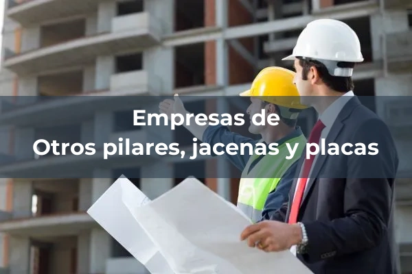 Pilares, jacenas y placas 6 Otros pilares, jacenas y placas