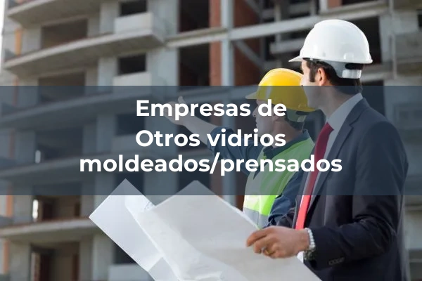 Vidrio moldeado/prensado 1 Otros vidrios moldeados/prensados