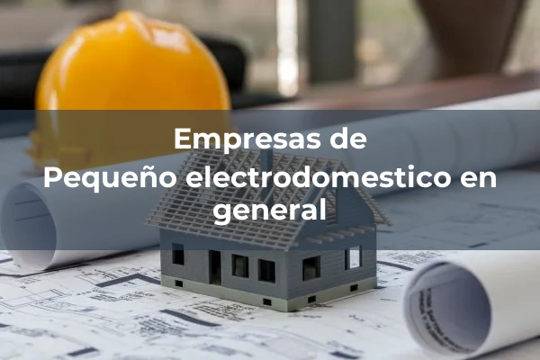 Electrodomesticos 8 Pequeño electrodomestico en general